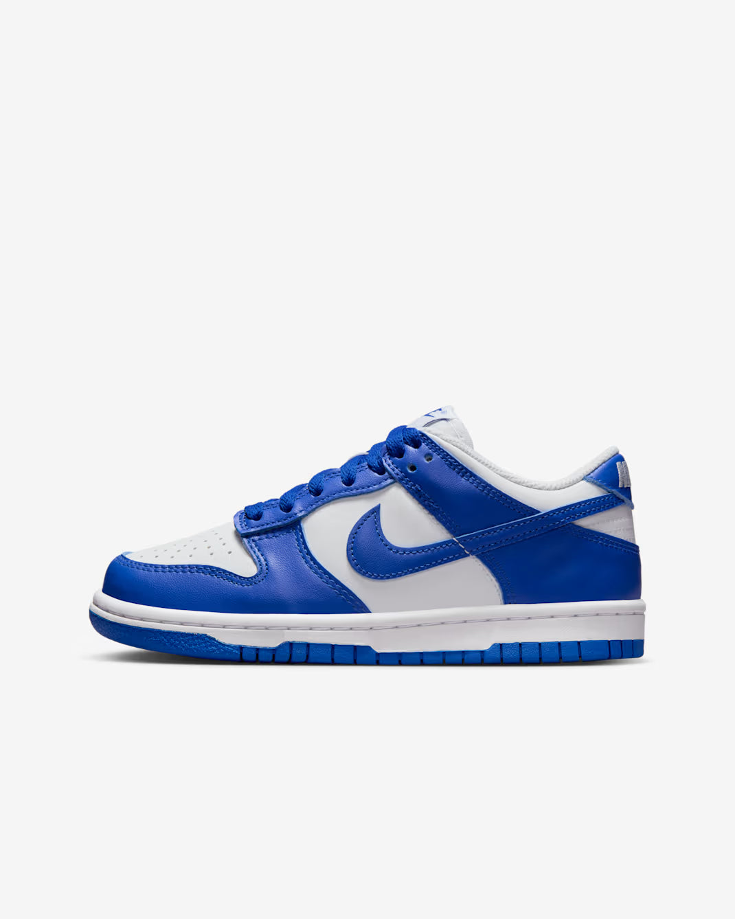 Scarpe NK Dunk Low PROMO NATALE