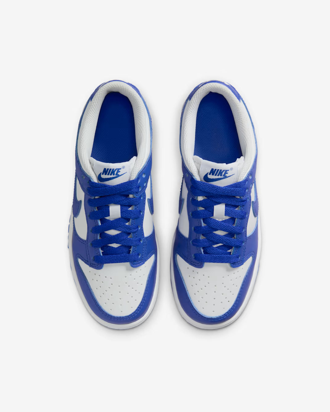 Scarpe NK Dunk Low PROMO NATALE