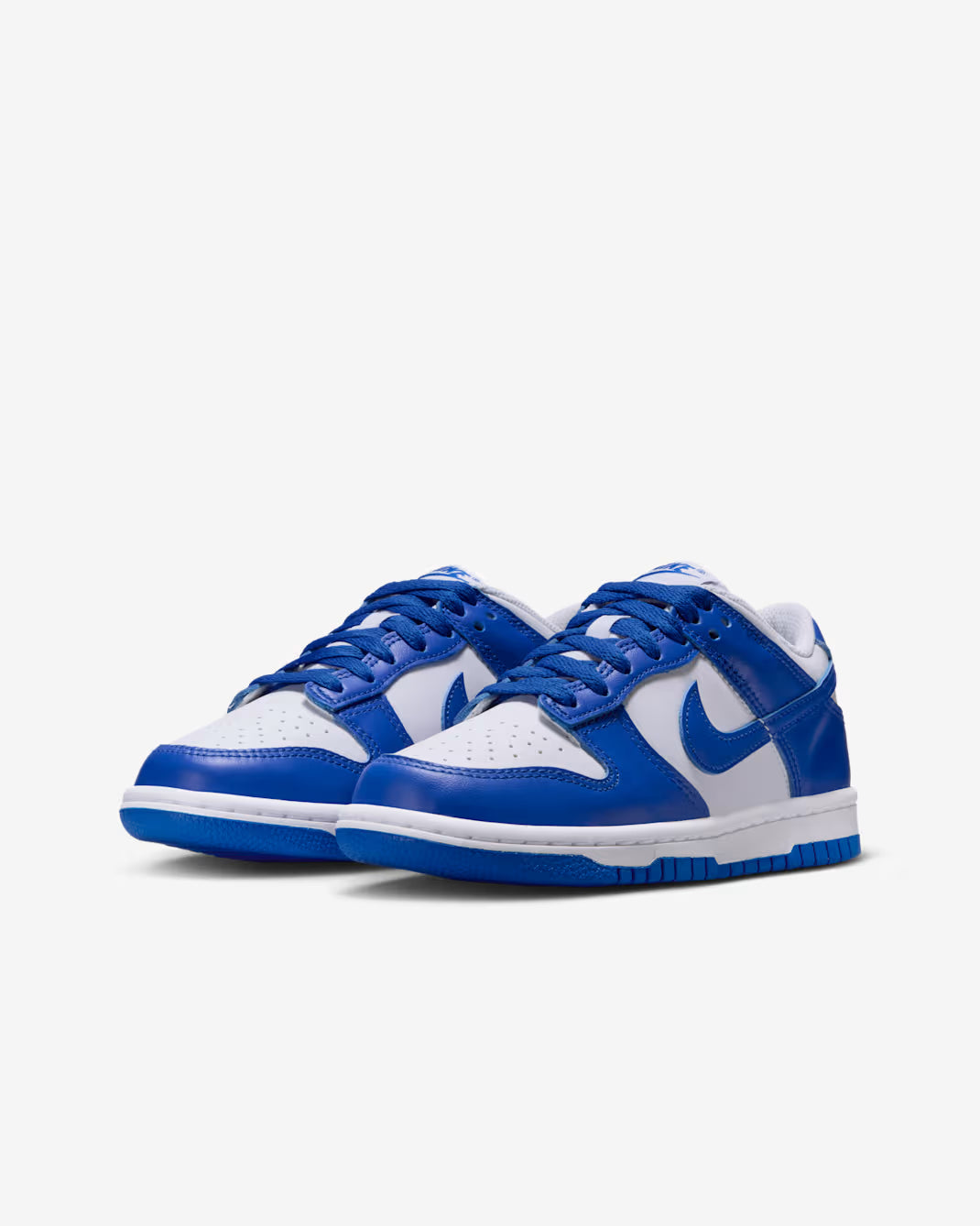 Scarpe NK Dunk Low PROMO NATALE