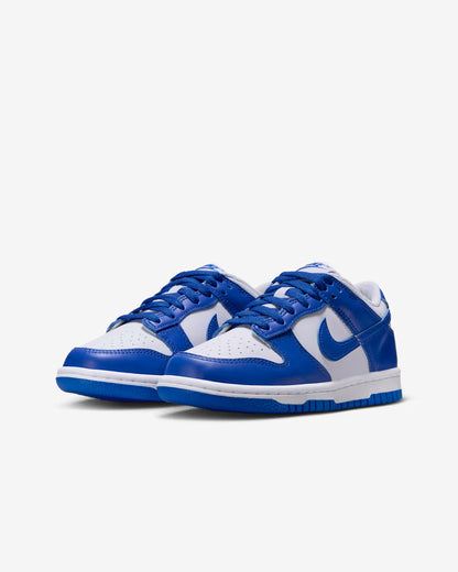 Scarpe NK Dunk Low PROMO NATALE