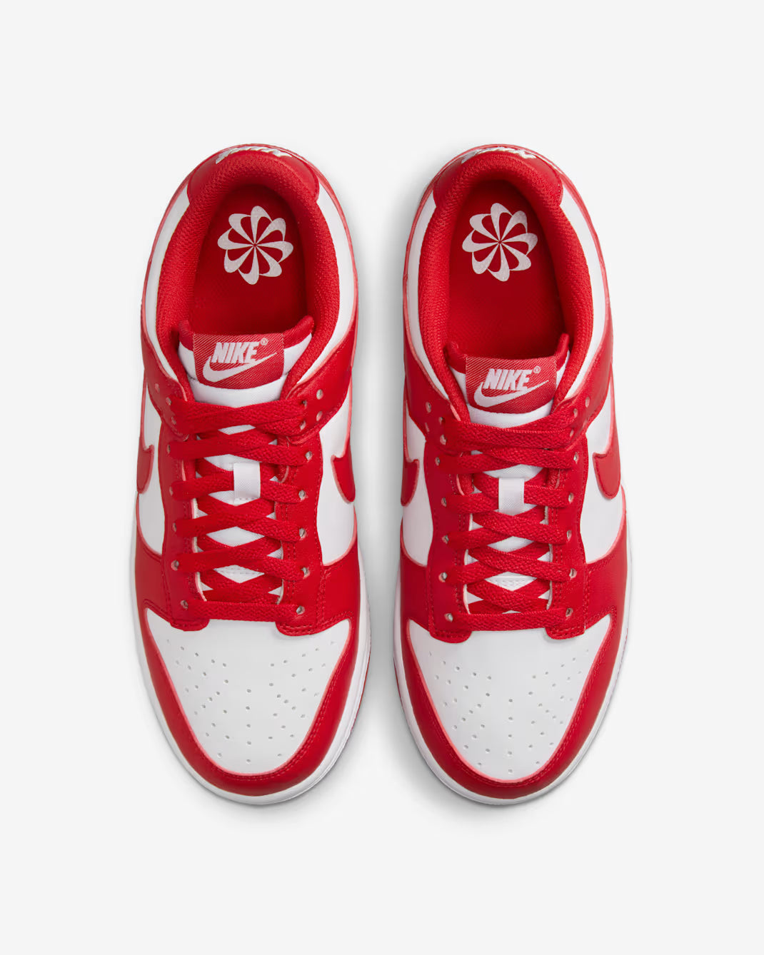 Scarpe NK Dunk Low PROMO NATALE